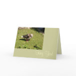 Angry Goose Hey You Card