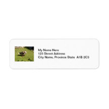 Angry Goose Labels