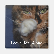 Angry kitty. fridge magnet