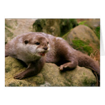 Angry Otter Greeting Cards