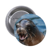 Angry Sea Lion Button