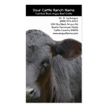 Angus Cow  Closeup Photo for Farmers Business Card Template