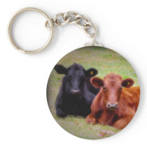 Angus Love - Pair of Cattle Side by Side