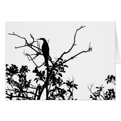 Anhinga Bird by moonrisings