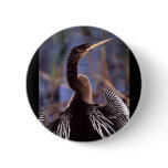 anhinga buttons