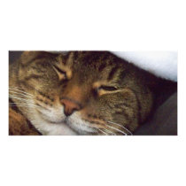 Aniaml Bookmark Picture Card