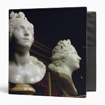 Anima Beata' Vinyl Binder