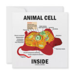 Animal Cell Inside (Eukaryote Cell Biology) Personalized Announcements