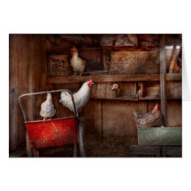 Animal - Chicken - The duck is a spy Cards