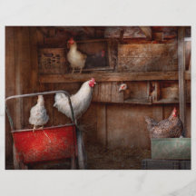 Animal - Chicken - The duck is a spy Flyer Design