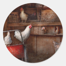 Animal - Chicken - The duck is a spy Stickers