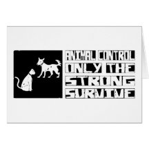 Animal Control Survive Cards