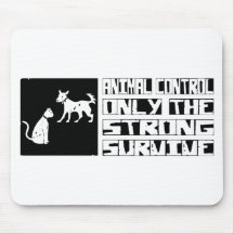 Animal Control Survive Mouse Mats