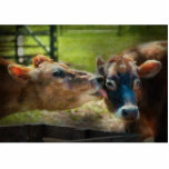 Animal - Cow - Let mommy clean that Cut Out