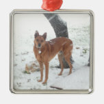 Animal familier de collection de Noël ou photo de  Ornement