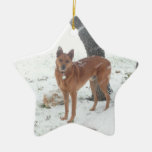 Animal familier de collection de Noël ou photo de  Décorations De Noël