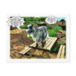 Animal Farm : The Revolution begins! | Comic Book  postcards
