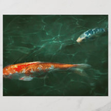 Animal - Fish - Koi - Another fish story Flyer Design