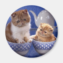 animal friendship magnet