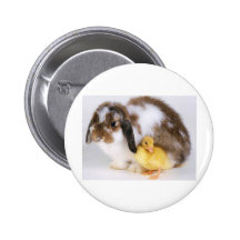 animal  friendship pinback button
