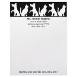 Animal Hospital Letterhead
