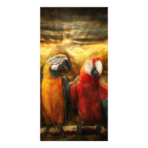 Animal - Parrot - Parrot-dise Photo Card