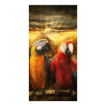 Animal - Parrot - Parrot-dise Photo Card