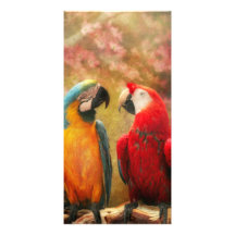 Animal - Parrot - We'll always have parrots Photo Card Template