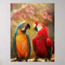 Animal - Parrot - We'll always have parrots Poster