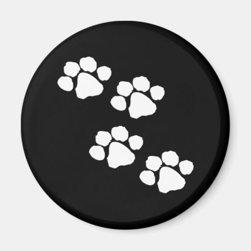 Animal Paw Prints Fridge Magnet