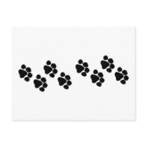 Animal Paw Prints