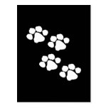 Animal Paw Prints Postcards