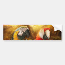 Animal - perroquet - Perroquet-dise Adhésif Pour Voiture