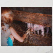Animal - Pig - Feeding piglets Personalized Flyer