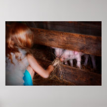 Animal - Pig - Feeding piglets Print