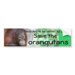 Animal Predictions