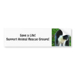 Animal Rescue - anti-cruelty Bumper Stickers