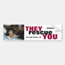 ANIMAL RESCUE BUMPERSTICKER BUMPER STICKERS
