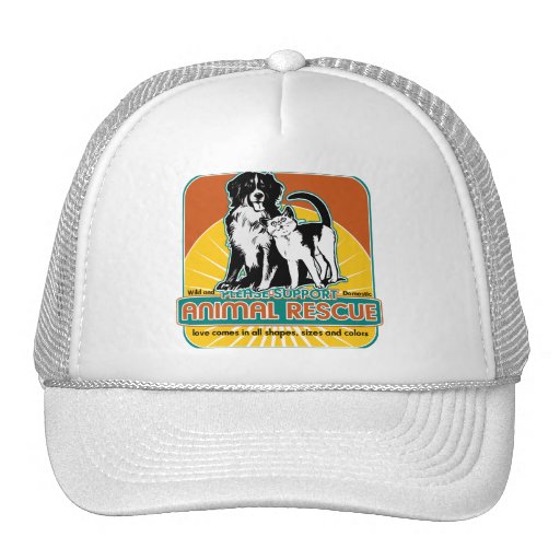 Animal Rescue Dog and Cat Hat
