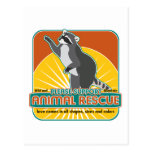 Animal Rescue Raccoon Postcards