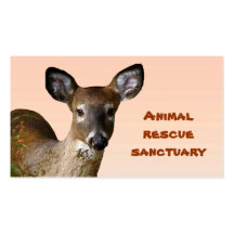 Animal Rescue Sanctuary Business Card Templates