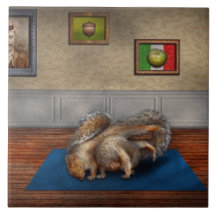 Animal - Squirrel - And stretch Two Three Four Tile
