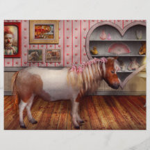 Animal - The Pony Full Color Flyer