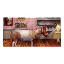 Animal - The Pony Photo Greeting Card
