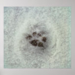 Animal tracks in the snow posters