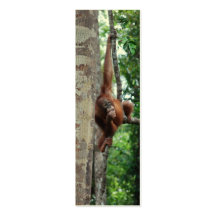 Animal Tree Hugger Business Cards