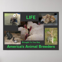 Animals are Life Poster 4