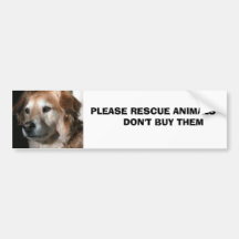 Animals       ... bumper stickers