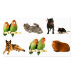 animals business card templates