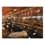 Animals - Cow - Checking out the Ladies Personalized Invitation